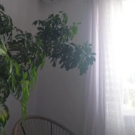 Apartment Luxury - Near Of The Park *