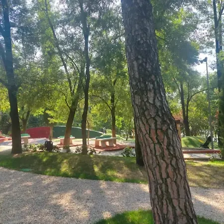 Luxury - Near Of The Park