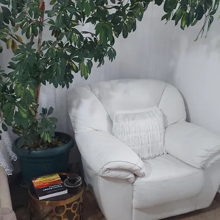 Luxury - Near Of The Park Apartment Tirana