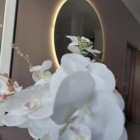 Luxury - Near Of The Park Apartment